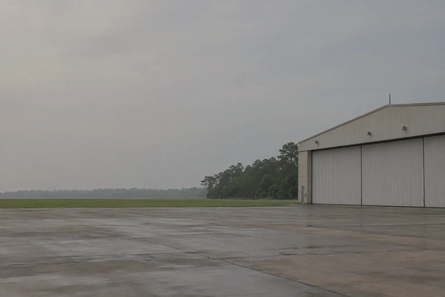 The coastal field in soft grey light in Newport News, VA